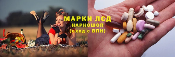 марки nbome Богданович