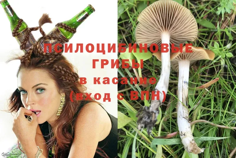 OMG ССЫЛКА  наркошоп  Тайга  Псилоцибиновые грибы MAGIC MUSHROOMS 